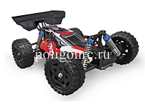 Remo Hobby Dingo 4WD 2.4G 1/16 RTR
